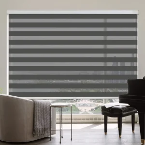 Zebra Day and Night Blind